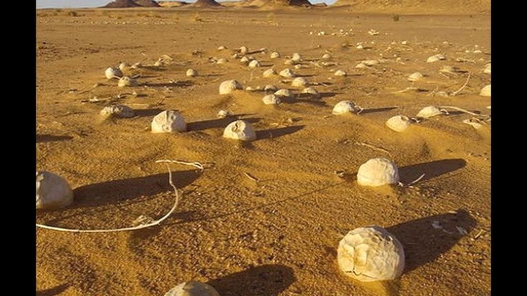 لا يتوقف الإنسان عن حلم الحياة على سطح المريخ