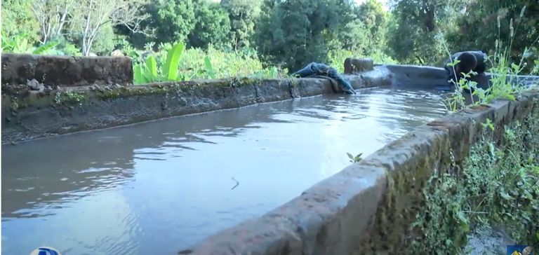 مسجد الفقيه أحمد بغرب إثيوبيا