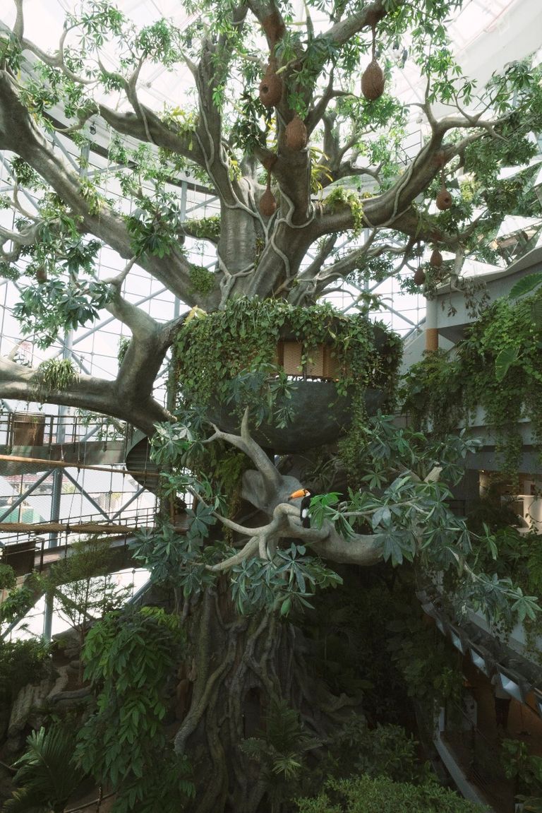 برج خليفة في دبي