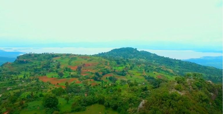 مزرعة التماسيح في إقليم جنوب إثيوبيا