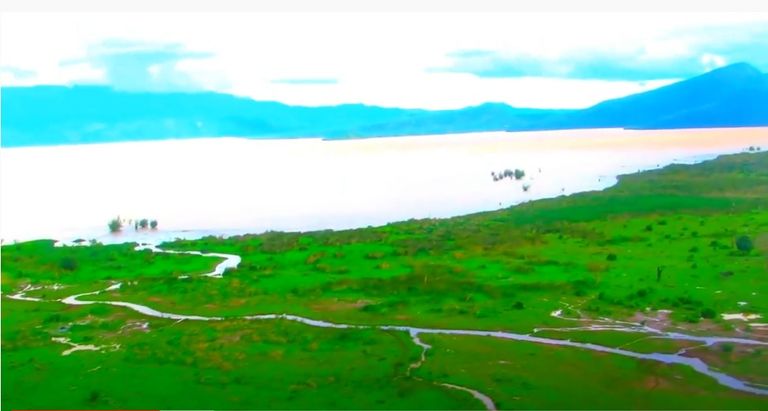 مزرعة التماسيح في إقليم جنوب إثيوبيا