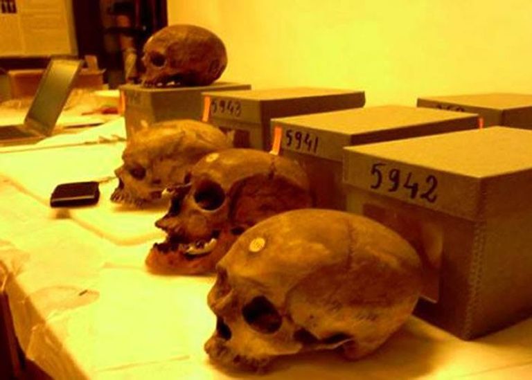 61-170700-algeria-restoration-skulls-france-recovery-3.jpeg