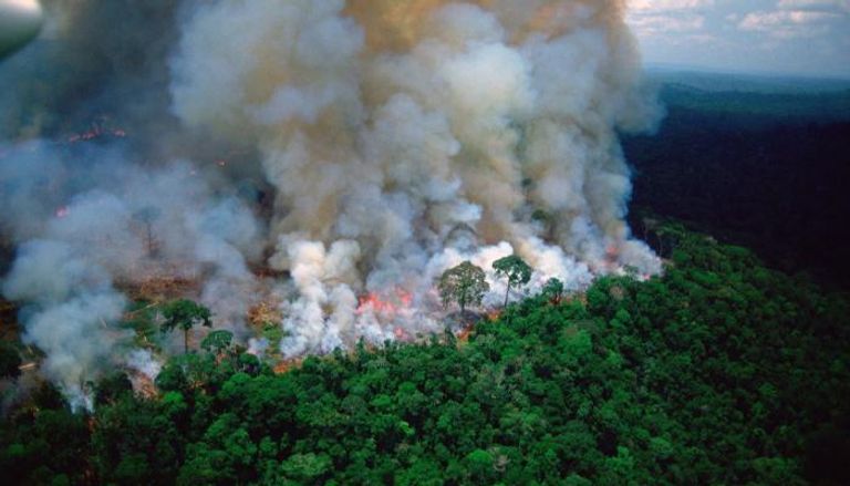 جانب من الحرائق في غابات الأمازون