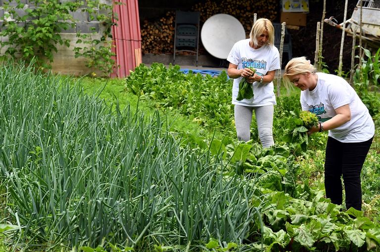 نهر نيريتفيتسا في البوسنة