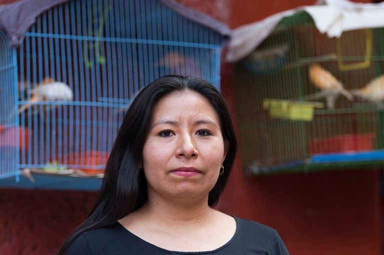 العاملة المنزلية في مكسيكو فيرونيكا سانشيس