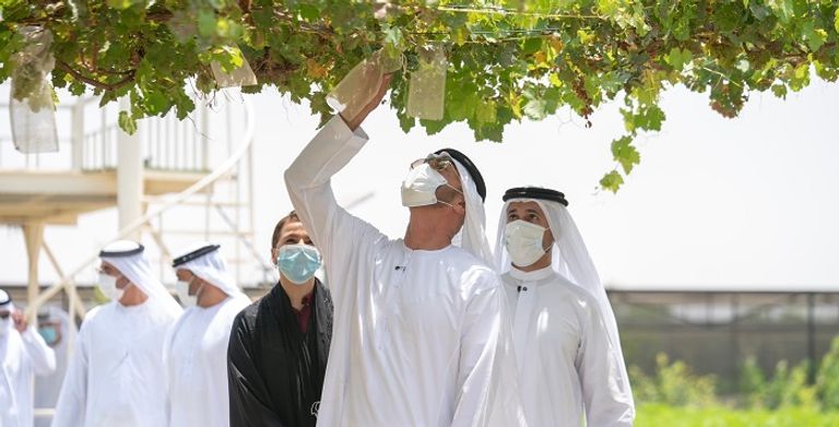 محمد بن زايد يزور عددا من المزارع النموذجية للمواطنين في أبوظبي محمد بن زايد يزور عددا من المزارع النموذجية في أبوظبي