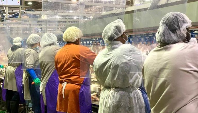 عمال في مصنع تايسون لمعالجة الدواجن