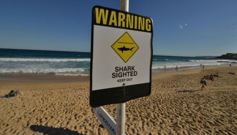 لافتة تحذر من وجود أسماك قرش على أحد شواطئ نيوكاسل في أستراليا