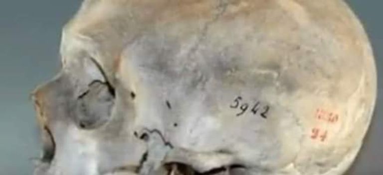 مجمة متخاري التيطراوي المصري الاصل الشهيد المصري الوحيد شارك في معركة الجزائر