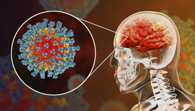فيروس كورونا المستجد يمكن أن يصيب الدماغ بتلف
