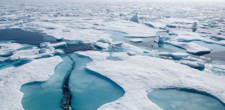 الجفاف أحد أسباب ارتفاع درجة حرارة الأرض