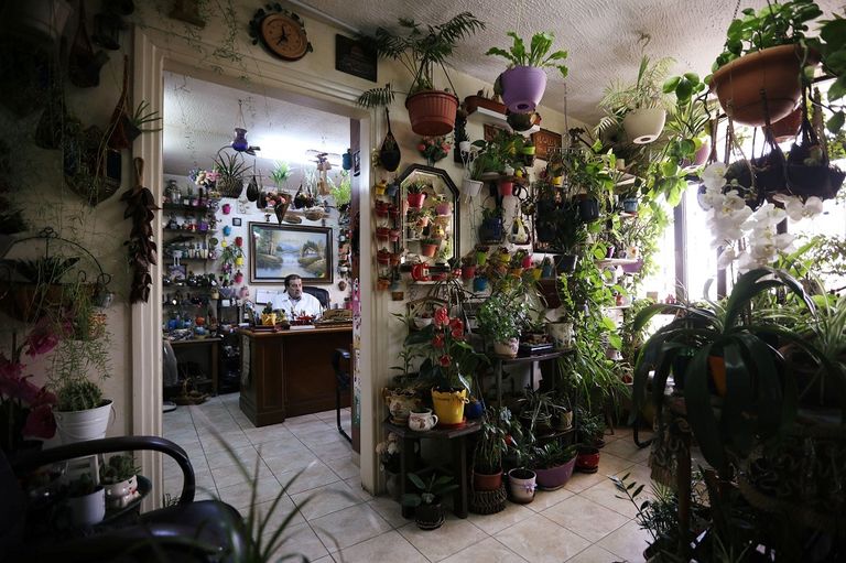 الطبيب نزار الحلبي يروي نباتاته