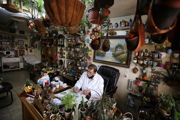 الطبيب نزار الحلبي يروي نباتاته