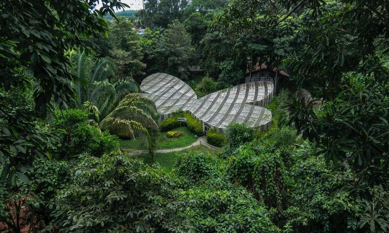 حديقة منزل ألبرتو جوميس