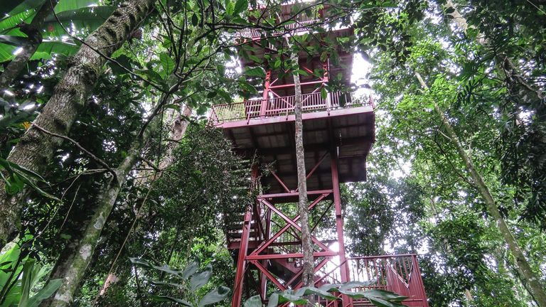 حديقة منزل ألبرتو جوميس