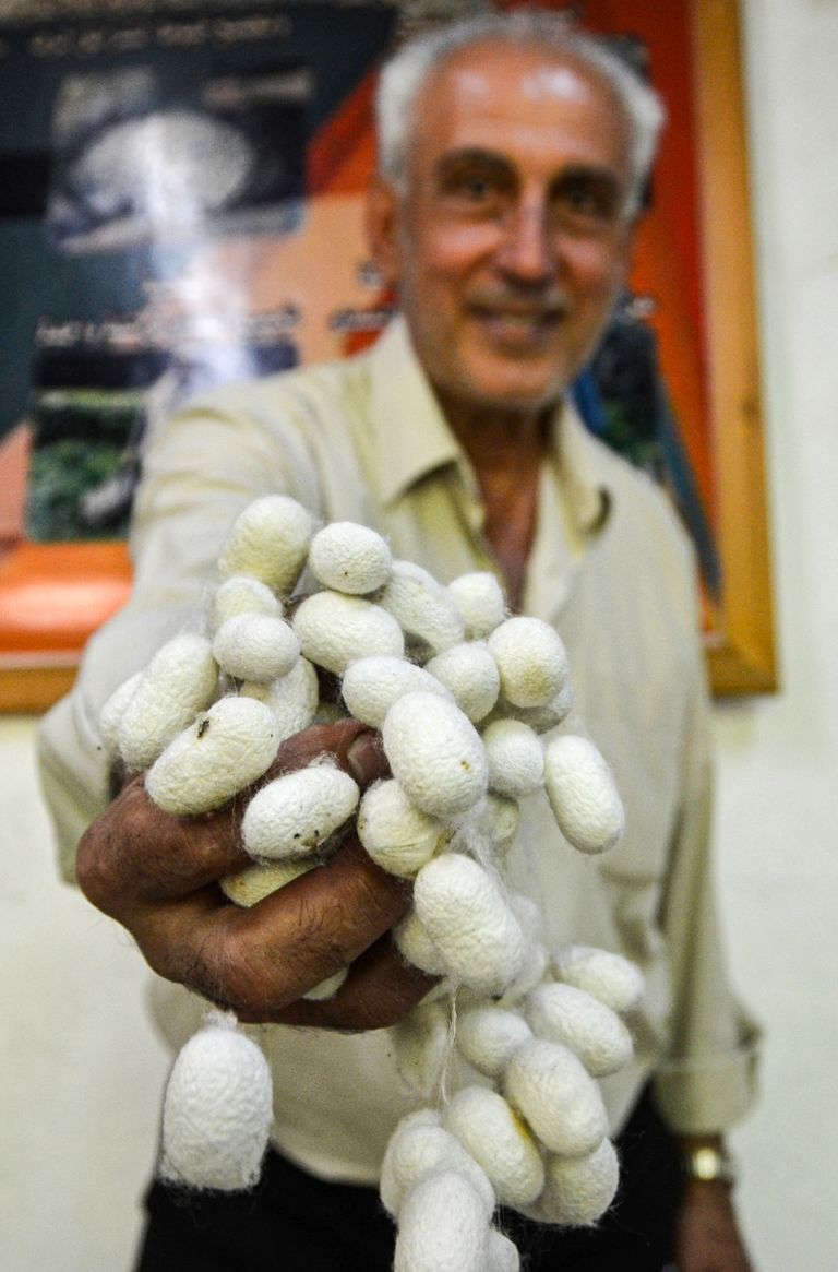 صانع الحرير محمد سعود