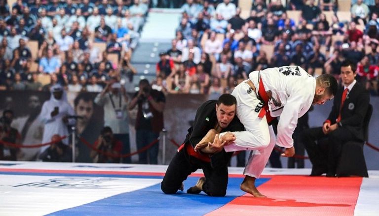 الفنون القتالية المختلطة UFC