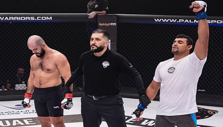 الفنون القتالية المختلطة UFC
