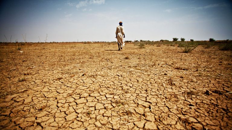 موجات الحر الأفريقية