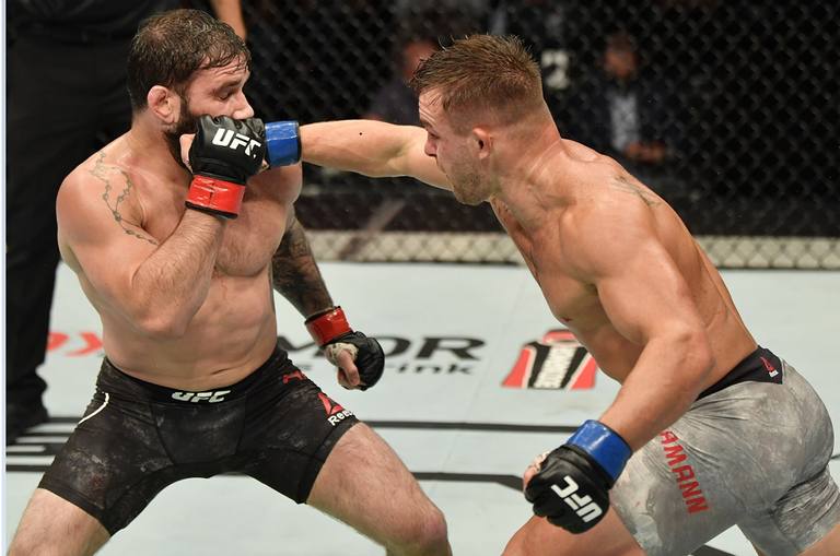 جانب من نزالات UFC أبوظبي