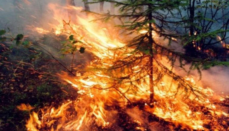 حرائق في غابات سيبيريا - أرشيفية