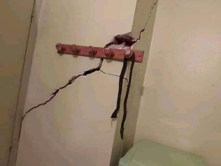 آثار الهزة الأرضية القوية التي ضربت محافظة ميلة شرق الجزائر