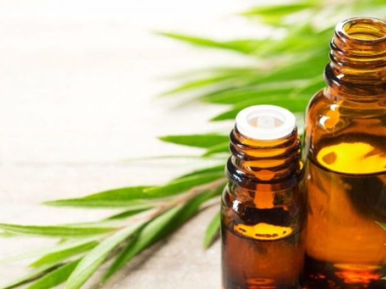 زيت شجرة الشاي لتعقيم اليدين زيت شجرة الشاي