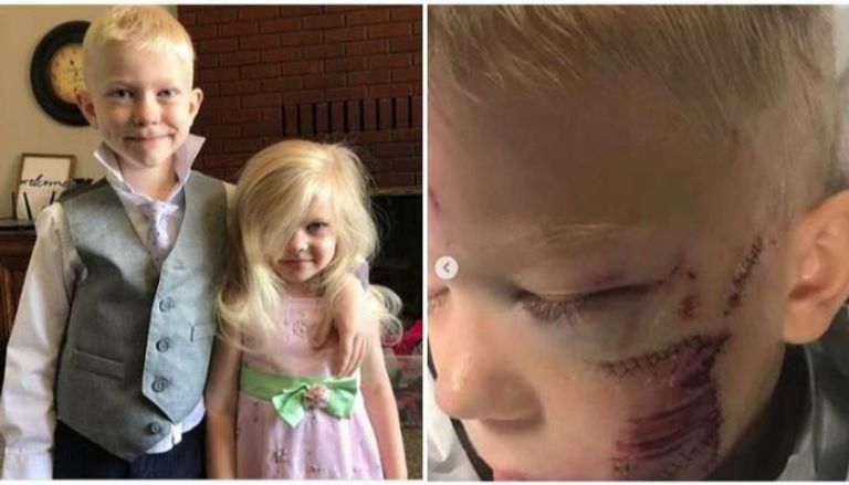 الصبي الشجاع وشقيقته