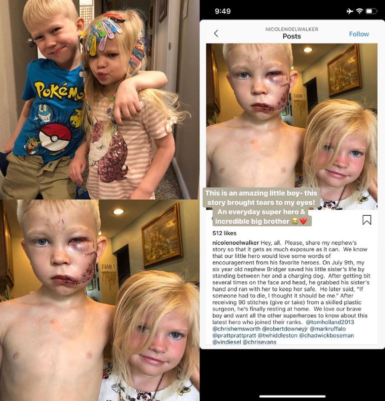 الصبي الشجاع وشقيقته