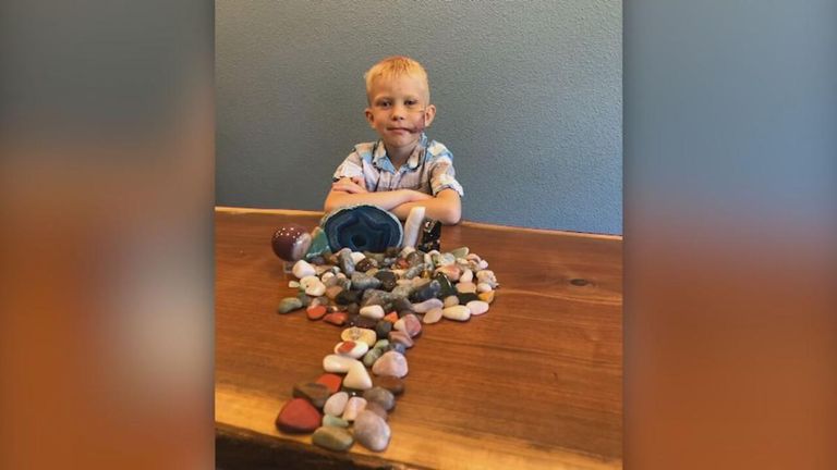 الصبي الشجاع وشقيقته