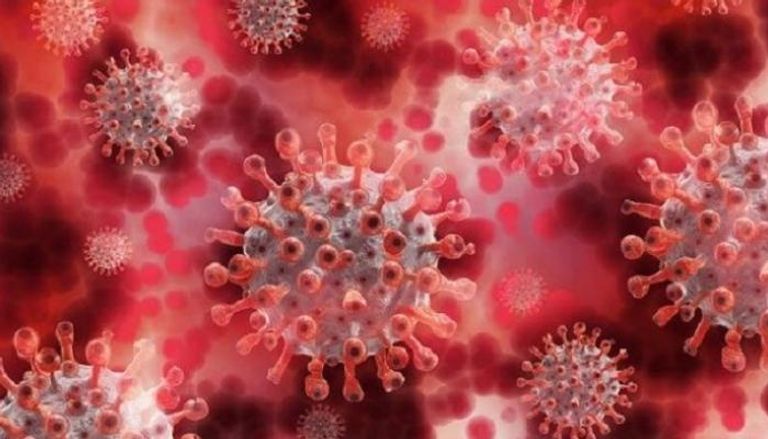 فيروس كورونا المستجد المسبب لمرض (كوفيد -19)