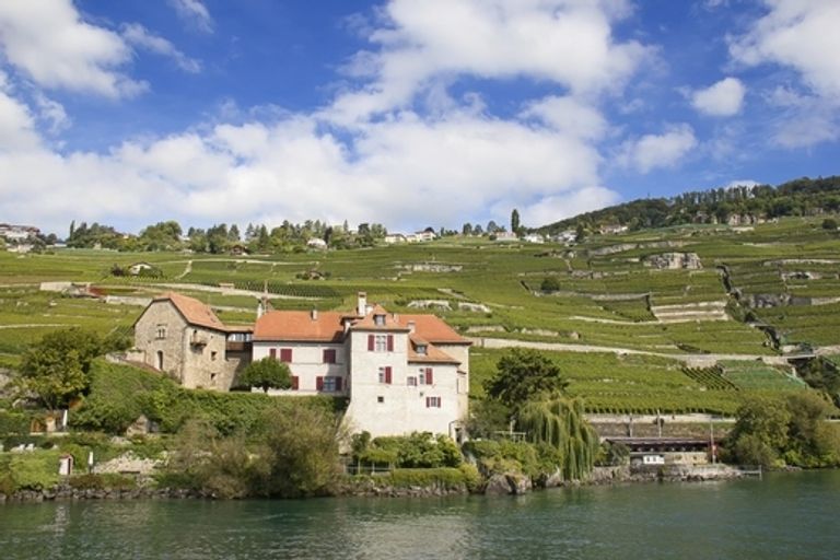 مونترو مدينة لوسيرن واحدة من أفضل الوجهات السياحية في سويسرا