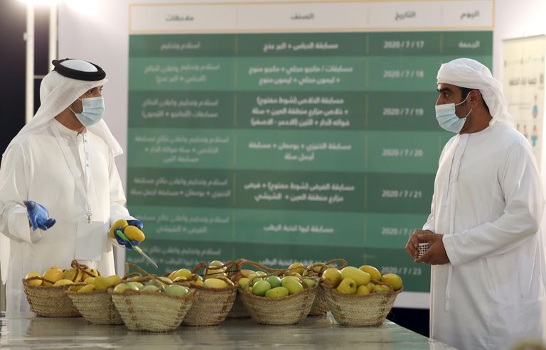 مهرجان ليوا للرطب