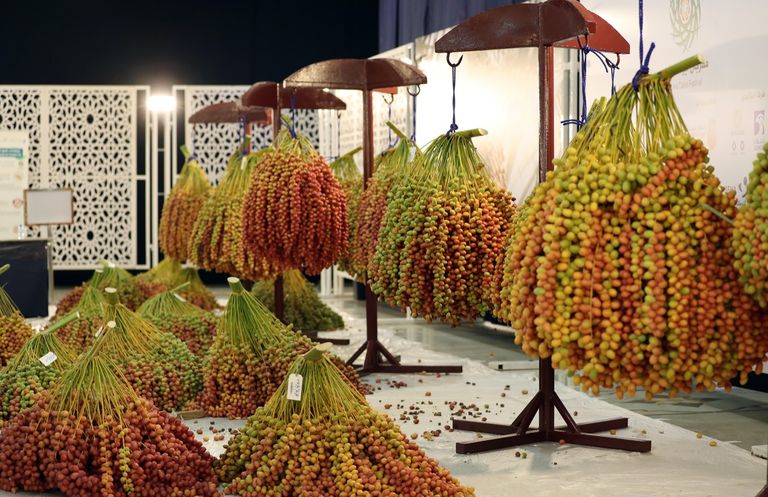 مهرجان ليوا للرطب