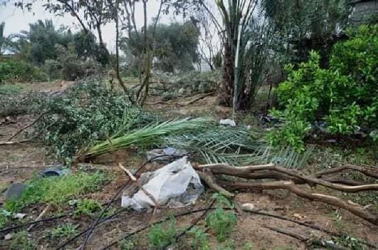 عمليات تجريف نفذتها حماس ضد أراض ذات ملكية خاصة تحاول انتزاعها بالقوة