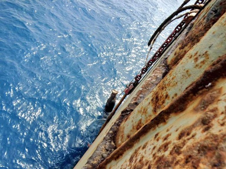 خزان صافر قنبلة موقوتة تهدد بكارثة بيئية في البحر الأحمر