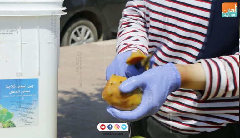 هبة عبدالحميد، الطالبة بأكاديمية لضيافة الطيران في مصر، تبيع التين الشوكي في مدينة الشروق هبة عبدالحميد تبيع التين الشوكي