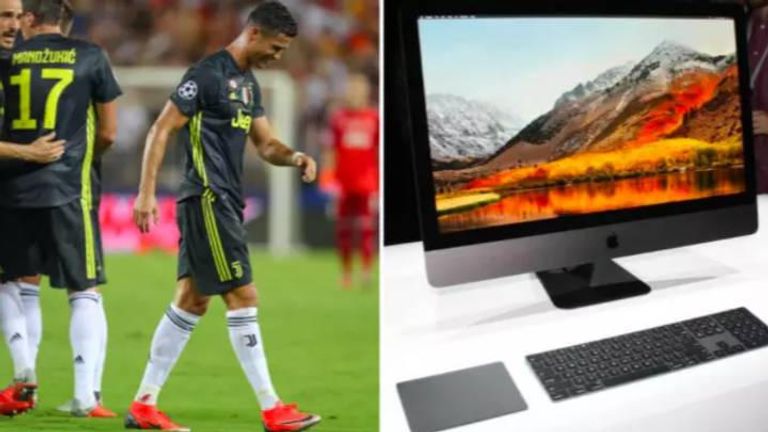 نجم التنس السويسري روجيه فيدرر وبقرته