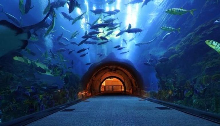  100 وجهة من أفضل الفنادق والمنتجعات ضمن حملة اكتشف دبي