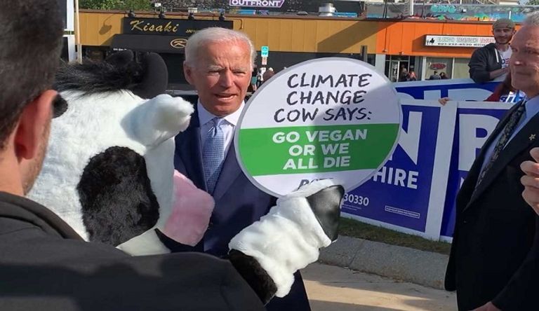 بايدن يعتمد على مناصرة البيئة في برنامجه الانتخابي الرئيس الأمريكي دونالد ترامب- أرشيفية