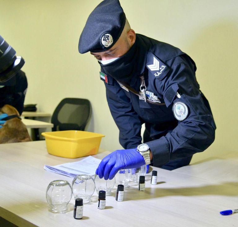 الإمارات الأولى عالميا في الكشف عن كورونا بالكلاب البوليسية