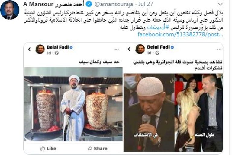 أمير قطر تميم بن حمد والرئيس التركي رجب طيب أردوغان