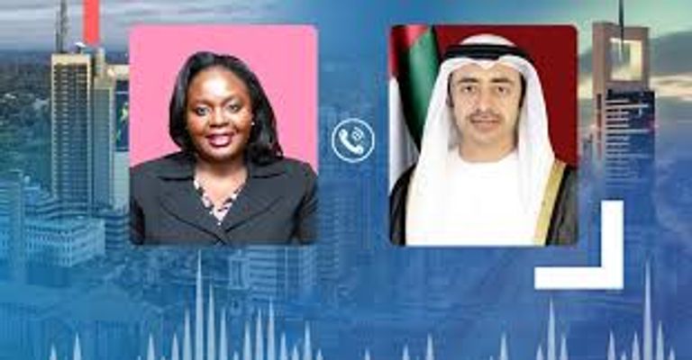 لقاء سابق بين  الشيخ عبدالله بن زايد آل نهيان وسامح شكري 