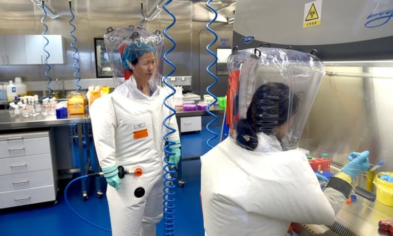 فيروس كورونا المستجد