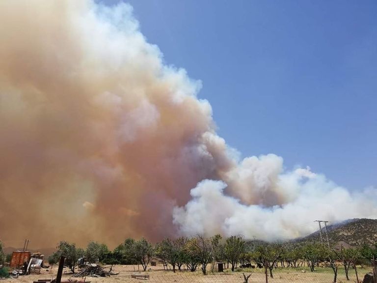 حرائق في الغابات الجزائرية الرئيس الجزائري عبد المجيد تبون خلال اجتماع المجلس الأعلى للأمن
