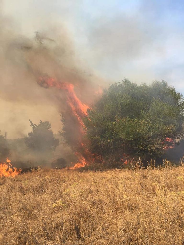 حرائق في الغابات الجزائرية الرئيس الجزائري عبد المجيد تبون خلال اجتماع المجلس الأعلى للأمن