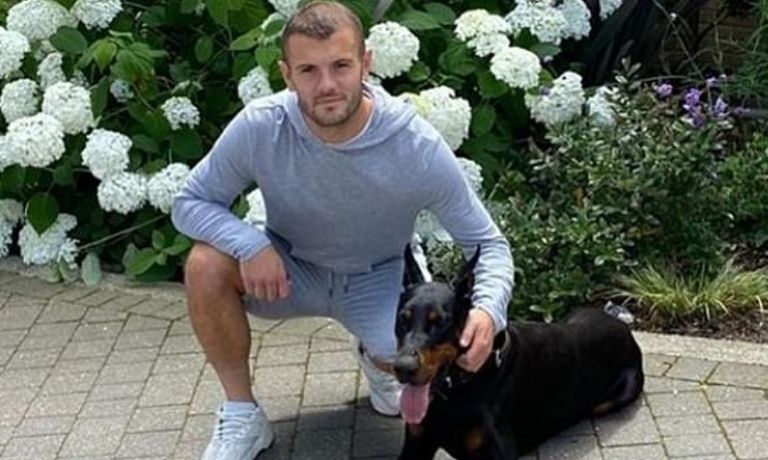 جاك ويلشر مايكل أرتيتا مدرب أرسنال