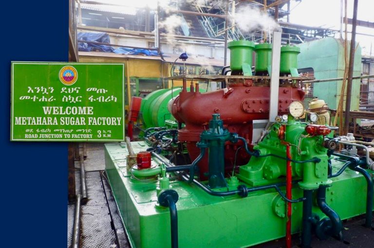 مدينة متهارا تشتهر بزراعة البرتقال