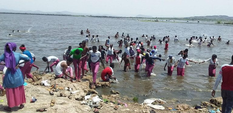 مدينة متهارا تشتهر بزراعة البرتقال