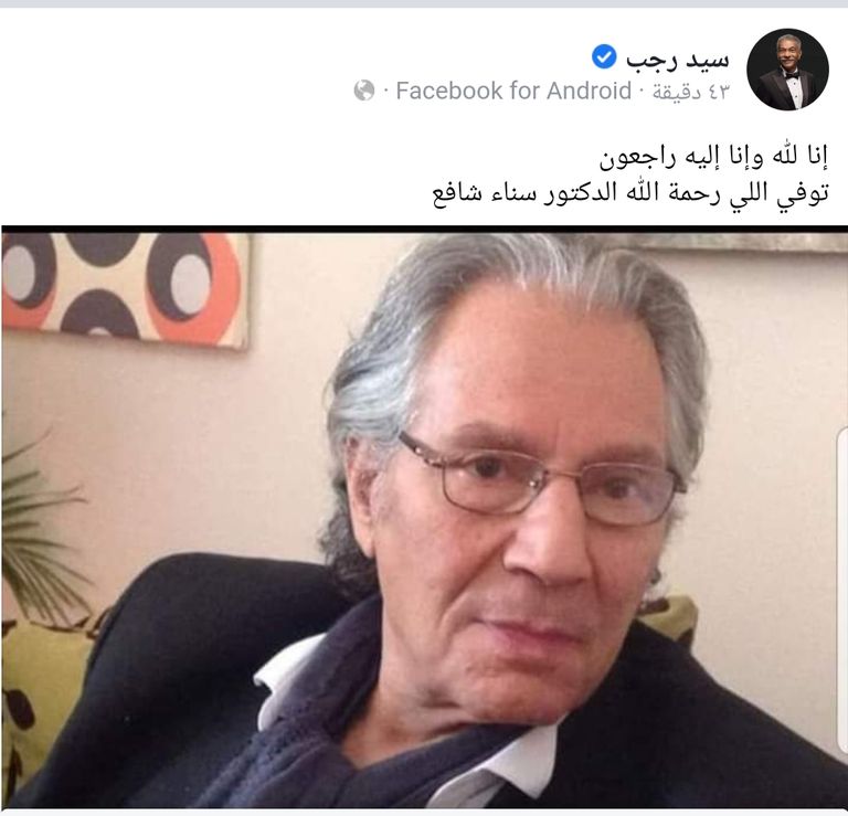 الفنان المصري سناء شافع